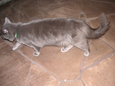 s_B_PICT0046.jpg